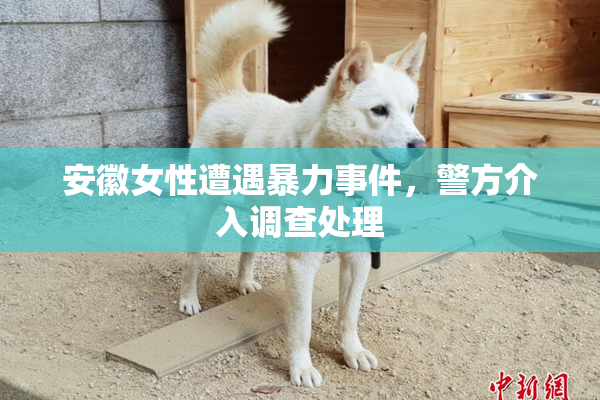 安徽女性遭遇暴力事件，警方介入调查处理