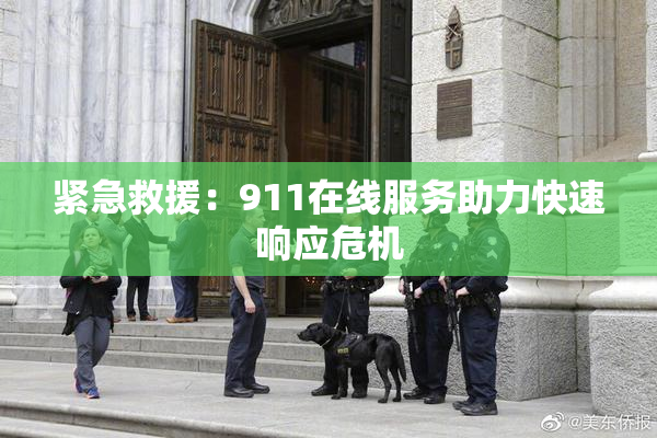 紧急救援：911在线服务助力快速响应危机