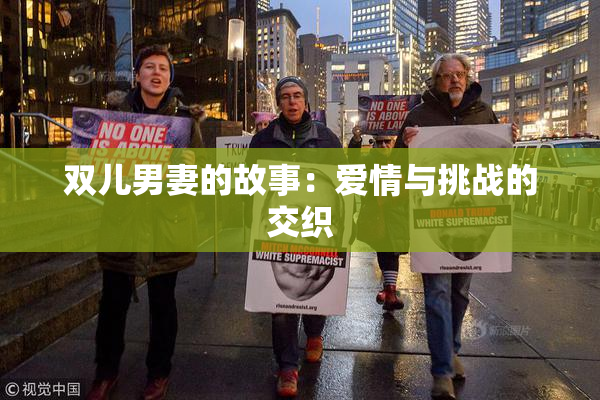 双儿男妻的故事：爱情与挑战的交织