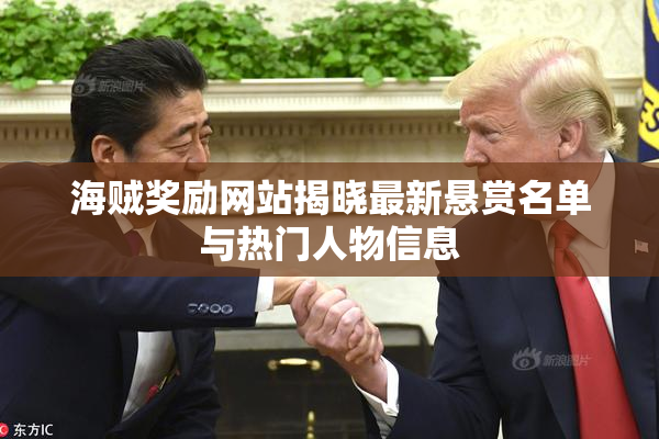 海贼奖励网站揭晓最新悬赏名单与热门人物信息