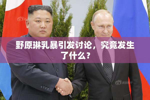 野原琳乳暴引发讨论，究竟发生了什么？