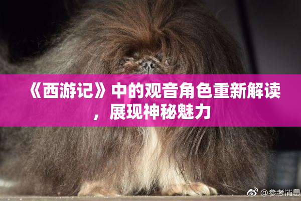 《西游记》中的观音角色重新解读，展现神秘魅力
