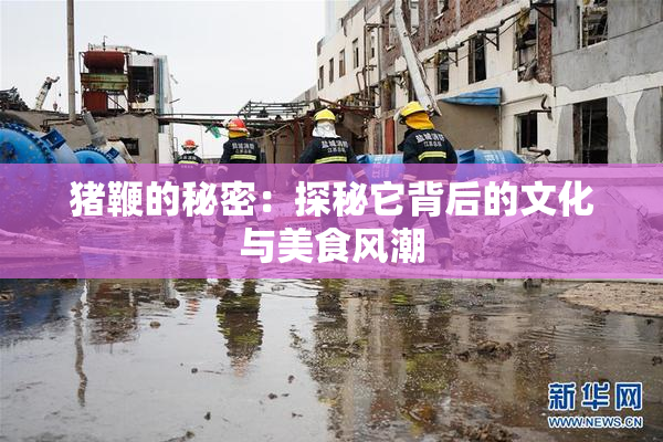 猪鞭的秘密：探秘它背后的文化与美食风潮