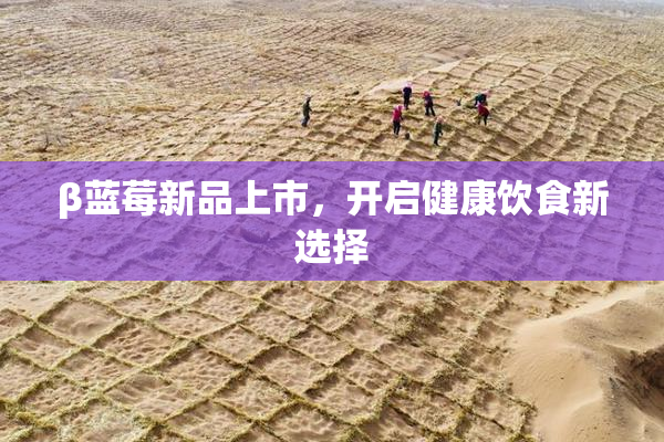 β蓝莓新品上市，开启健康饮食新选择