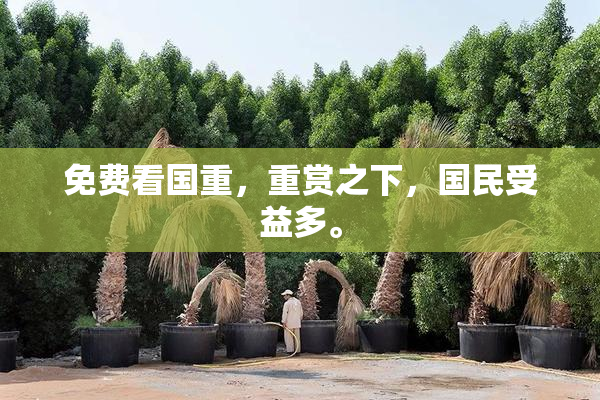 免费看国重，重赏之下，国民受益多。