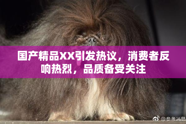 国产精品XX引发热议，消费者反响热烈，品质备受关注