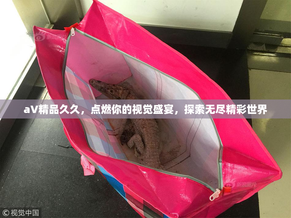 aV精品久久，点燃你的视觉盛宴，探索无尽精彩世界