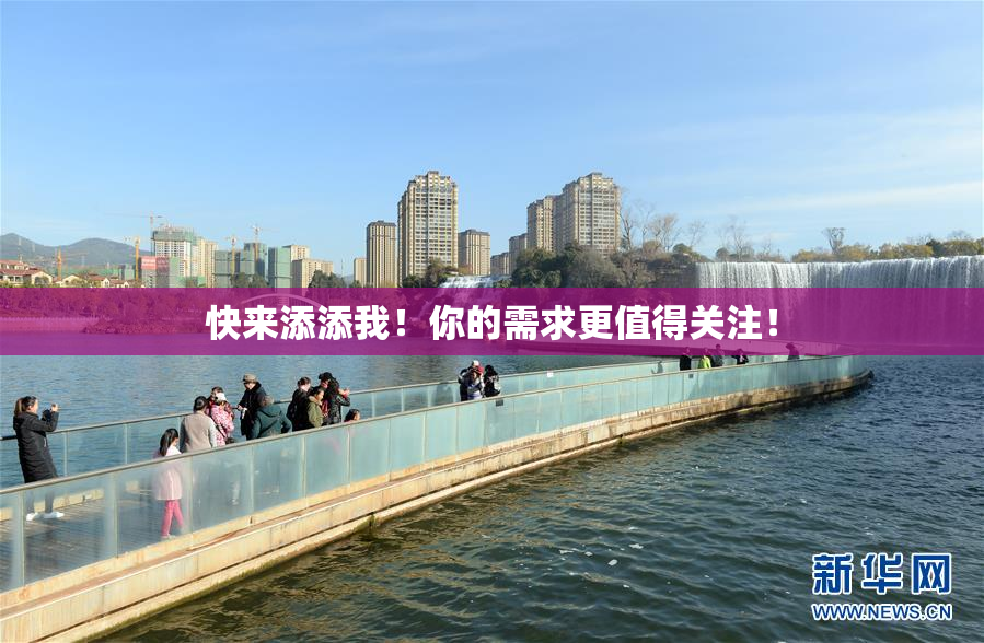 快来添添我！你的需求更值得关注！