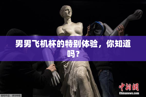 男男飞机杯的特别体验，你知道吗？
