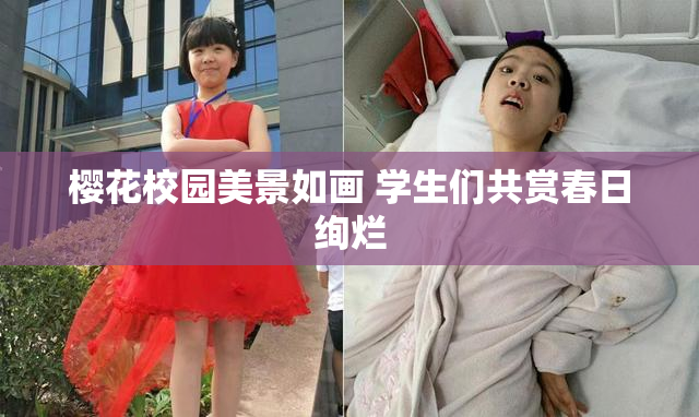 樱花校园美景如画 学生们共赏春日绚烂
