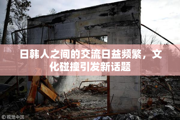 日韩人之间的交流日益频繁，文化碰撞引发新话题