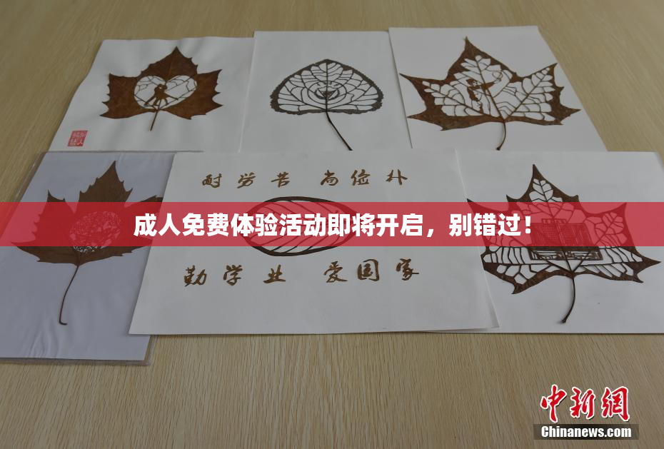 成人免费体验活动即将开启，别错过！