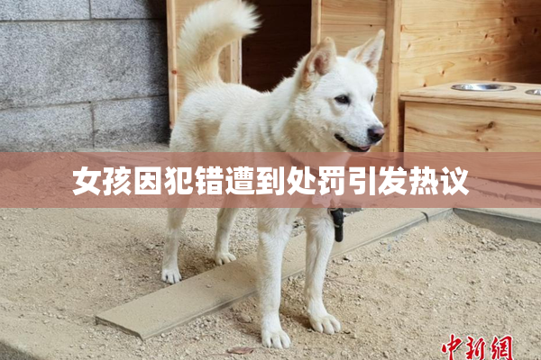 女孩因犯错遭到处罚引发热议