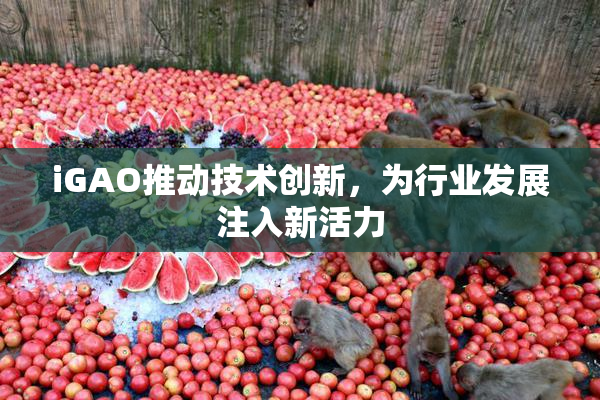 iGAO推动技术创新，为行业发展注入新活力