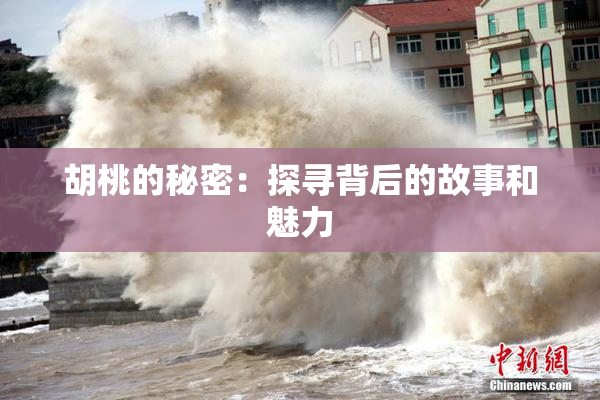 胡桃的秘密：探寻背后的故事和魅力