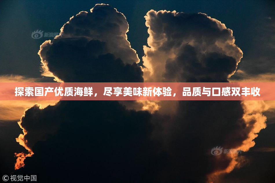 探索国产优质海鲜，尽享美味新体验，品质与口感双丰收