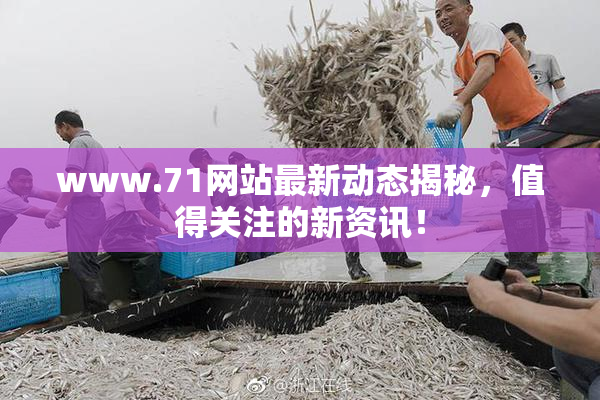 www.71网站最新动态揭秘，值得关注的新资讯！