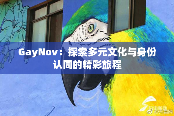 GayNov：探索多元文化与身份认同的精彩旅程