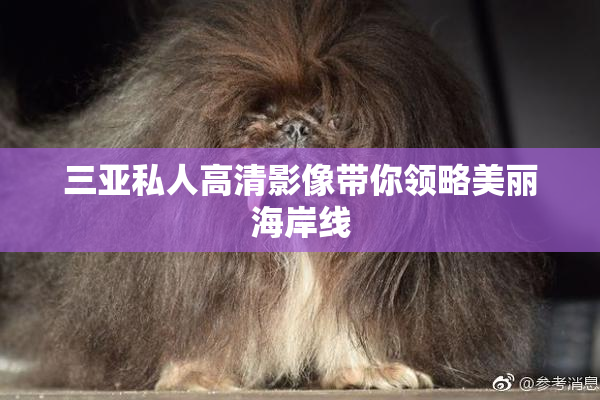 三亚私人高清影像带你领略美丽海岸线