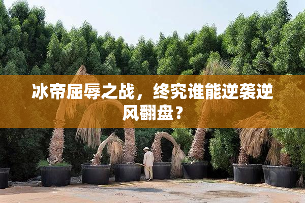 冰帝屈辱之战，终究谁能逆袭逆风翻盘？