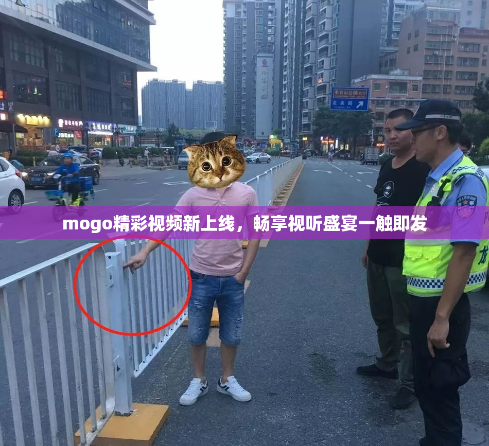 mogo精彩视频新上线，畅享视听盛宴一触即发