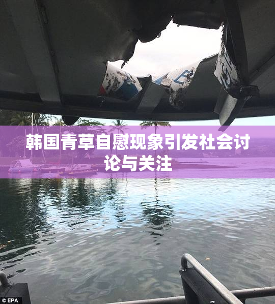 韩国青草自慰现象引发社会讨论与关注