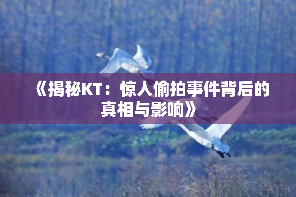 《揭秘KT：惊人偷拍事件背后的真相与影响》
