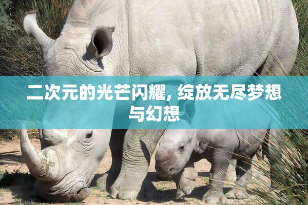 二次元的光芒闪耀, 绽放无尽梦想与幻想