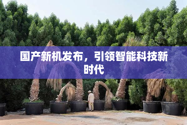 国产新机发布，引领智能科技新时代