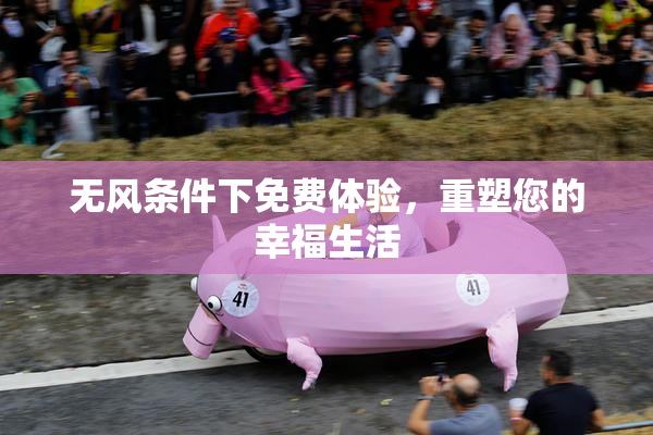 无风条件下免费体验，重塑您的幸福生活