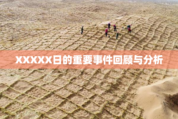 XXXXX日的重要事件回顾与分析