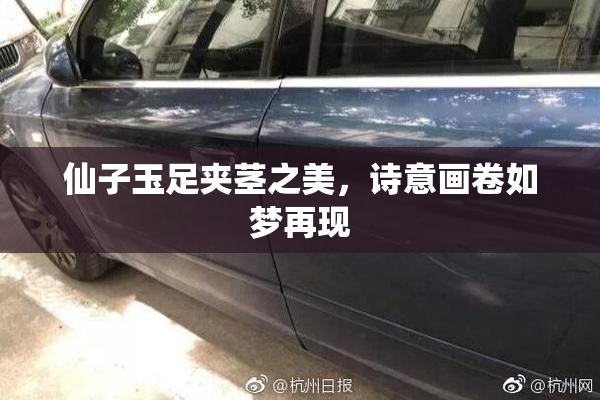 仙子玉足夹茎之美，诗意画卷如梦再现