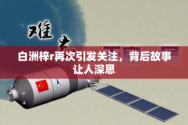 白洲梓r再次引发关注，背后故事让人深思