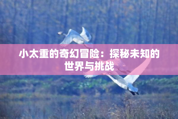 小太重的奇幻冒险：探秘未知的世界与挑战