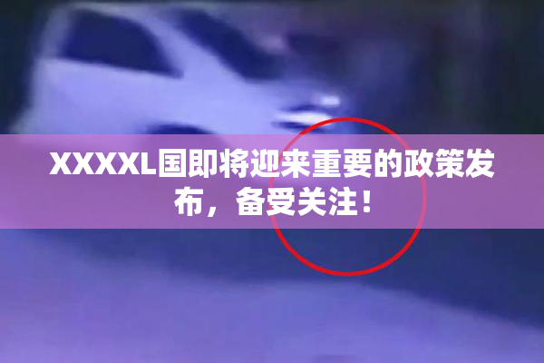 XXXXL国即将迎来重要的政策发布，备受关注！