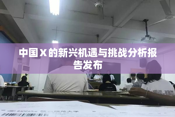 中国Ⅹ的新兴机遇与挑战分析报告发布