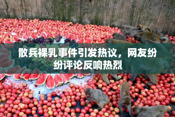 散兵裸乳事件引发热议，网友纷纷评论反响热烈