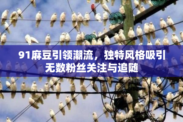 91麻豆引领潮流，独特风格吸引无数粉丝关注与追随