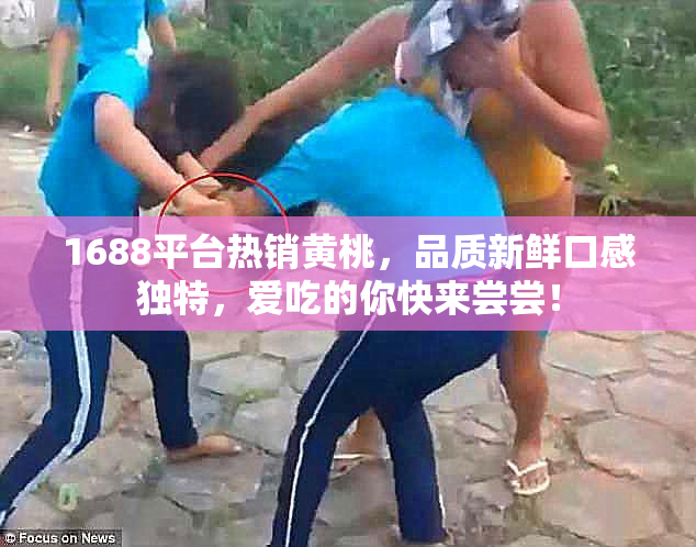 1688平台热销黄桃，品质新鲜口感独特，爱吃的你快来尝尝！