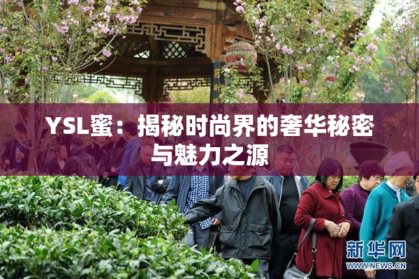 YSL蜜：揭秘时尚界的奢华秘密与魅力之源