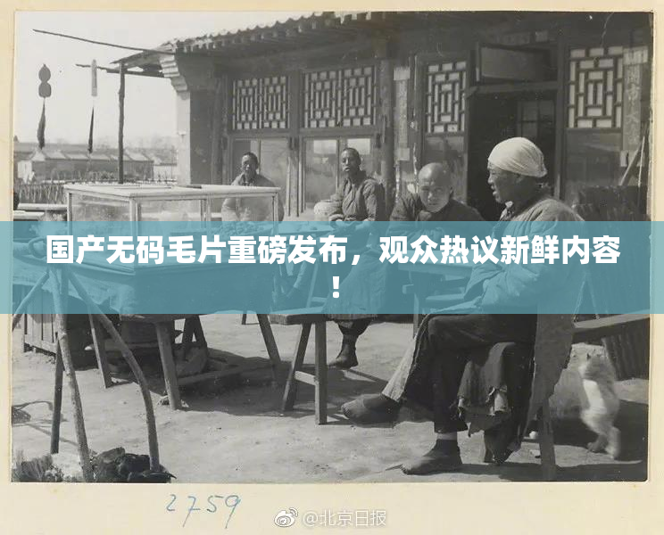 国产无码毛片重磅发布，观众热议新鲜内容！