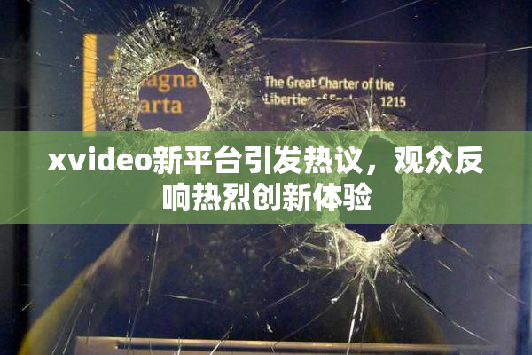 xvideo新平台引发热议，观众反响热烈创新体验