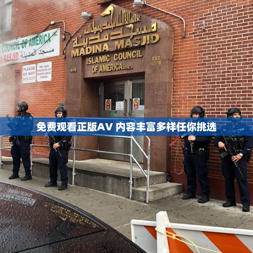 免费观看正版AV 内容丰富多样任你挑选
