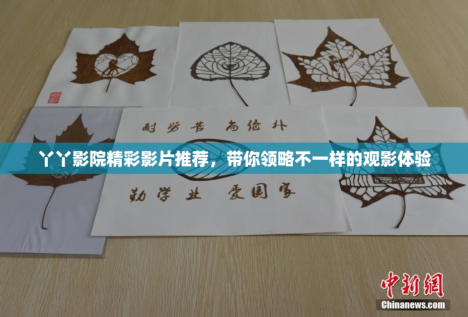 丫丫影院精彩影片推荐，带你领略不一样的观影体验