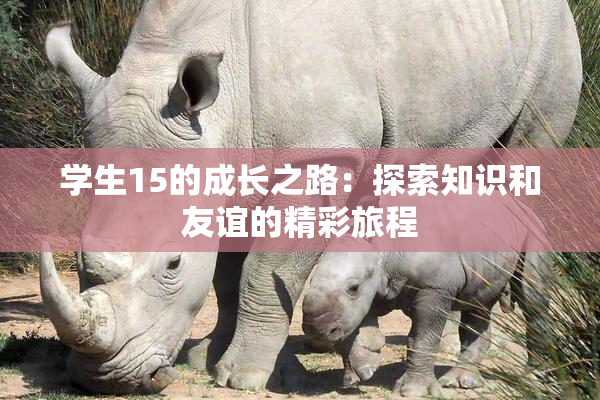 学生15的成长之路：探索知识和友谊的精彩旅程