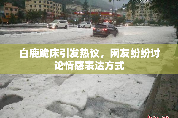 白鹿跪床引发热议，网友纷纷讨论情感表达方式