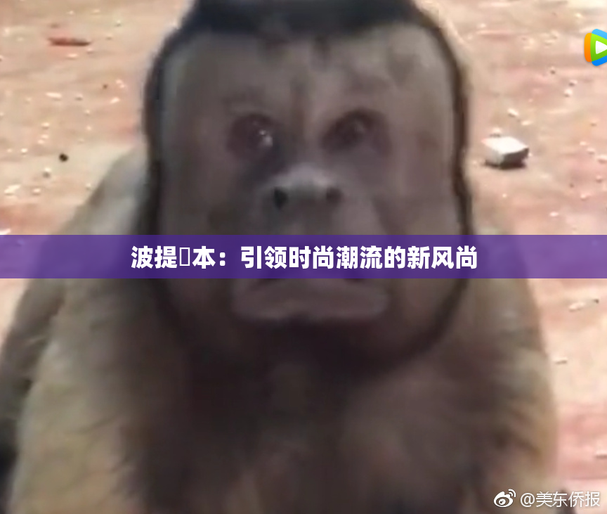 波提歐本：引领时尚潮流的新风尚