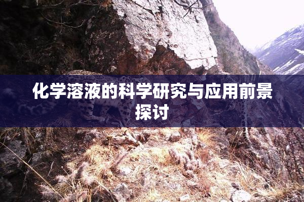化学溶液的科学研究与应用前景探讨