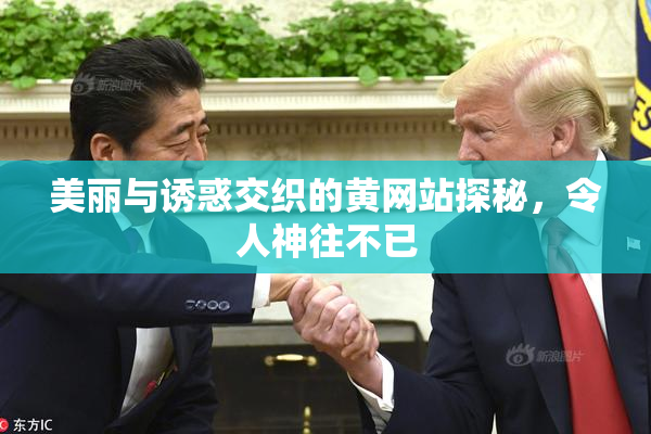 美丽与诱惑交织的黄网站探秘，令人神往不已