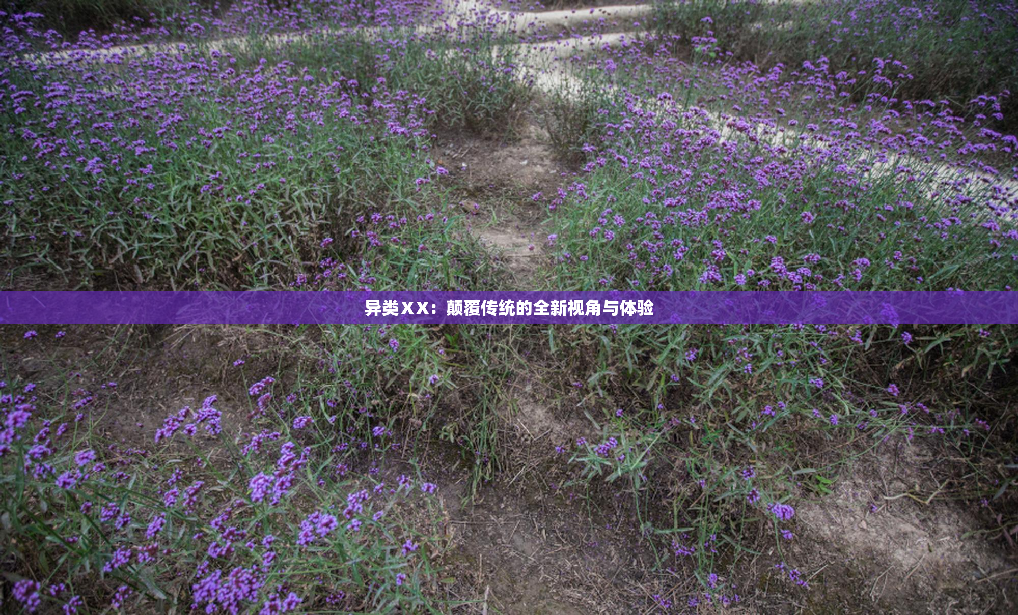异类ⅩX：颠覆传统的全新视角与体验
